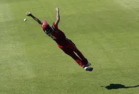 Get a free quote from state farm agent john davison in tomball, tx. John Davison Of Canada Dives But Fails To Stop Chris Cairns Of New Zealand Scoring A Six Getty Images Gallery