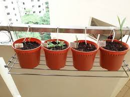 Home Diy Gravity Drip Irrigation For Herbs And Plants Irrigation System Diy Drip Irrigation Diy Drip Irrigation System