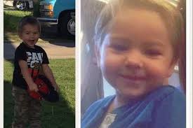 Fundraiser by Amanda Carney : Sebastian Gray Education Fund