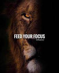 677 Motivational Inspirational Quotes Warrior Quotes Badass Quotes Lion Quotes
