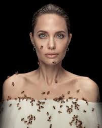 Angelina jolie continues nyc birthday trip with red hook art gallery tour half of angelina jolie and brad pitt's kids wanted to testify against their father at a custody hearing, but the actress. Tanpa Takut Angelina Jolie Berfoto Bersama Lebah Selama 18 Menit Womantalk