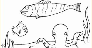 Namun selain anak, orang dewasa juga tetap bisa mewarnai gambar untuk mencoba melatih fokus dan meringankan pikiran sejenak. Mewarnai Sketsa Gambar Hewan Yang Mudah Download Kumpulan Gambar
