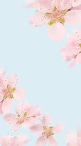 Mint Tumblr Floral Wallpaper Iphone Plain Wallpaper Iphone Flower Background Wallpaper