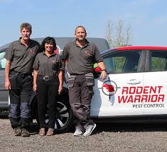 No matter your place of business in london, you will always be. Rodent Warrior Commercial Pest Services