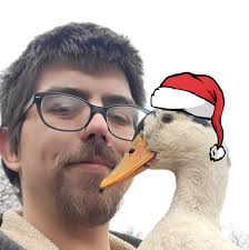 How to manage an aggressive Pekin drake?