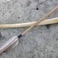 3 Day Bow & Arrow Making Class