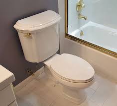 kohler portrait & memoir toilets