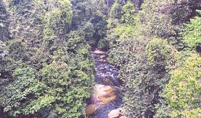 5.4091, 100.77712) is a recreational forest about 30 km northeast of kulim, kedah. Kepuasan Di Aras Tinggi