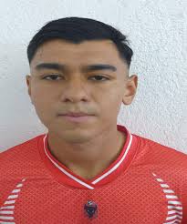 Liga TDP. Reporte Disciplinario: Jornadas 25, 21, 29, 26, 19, 16, 14, 15 y  13