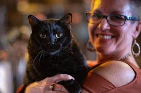 Fundraiser by Kelli D Steward : Gatos and Beans