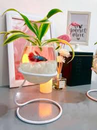 Terrarium adalah wadah transparan yang didalamnya ditumbuhkan tanaman kecil menggunakan media tertentu dan dihias dengan bebatuan serta aksesoris lain, sehingga membentuk miniatur taman yang menarik. Paket Vas Aquarium Mini Hiasan Meja Kamar Dekorasi Rumah Tanaman Cupang Standing Terrarium Hidrogel Terbaru Agustus 2021 Harga Murah Kualitas Terjamin Blibli