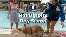Hot Dippity Dog Swim