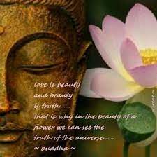 Flowers are a proud assertion that a ray of beauty outvalues all the utilities of the. In The Beauty Of A Flower We Can See The Truth Of The Universe Buddha Lotus Flower Quote Buddha Quote Buddha