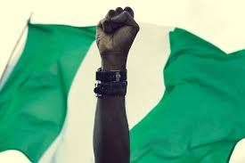 Nigerian Flag Fist Africanstories Nigerian Independence Day Nigerian Independence Nigerian Flag
