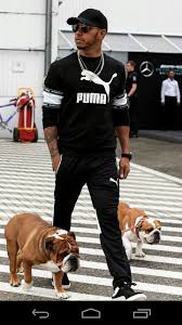 Pro tag verdient der hund rund 700 dollar (= 600 euro), wie hamilton nun in. Pin By Lpics On Team Lh Lewis Hamilton Lewis Hamilton Formula 1 Hamilton