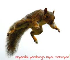 Tupai memg pandai melompat.memg xdpt dinafikan lagi.tp tupai yg ni xpndai melompat.cume tupai ni laju & agak cantik :). Sepandai Pandai Tupai Melompat Akhirnya Sangkut Kat Syiling