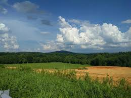Our top picks lowest price first star rating and price top reviewed. Pin On Travel Tennessee
