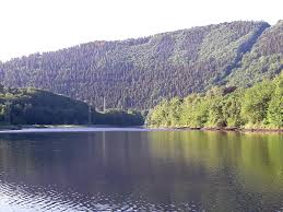 More images for rurtalsperre überlauf » Morgenwanderung Um Den Rursee Im Juni Ferienhaus In Der Eifel