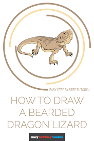 Bearded dragon chibi by shinepawart on deviantart cute dragon drawings bahamasecoforum. How To Draw A Bearded Dragon Lizard Really Easy Drawing Tutorial