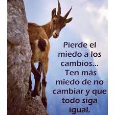 Gracias vida, por lo que pones, por lo que quitas y por lo que acomodas. -  Frases