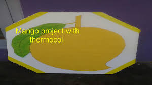 Mango Project With Thermocol