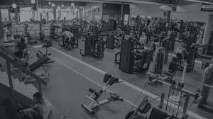 Chariot musculation, fitness articles de sport produit neuf jamais utilisé marque varna fitness réf : European Fitness Paradise Le Club De Fitness N 1 A Mouscron