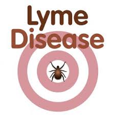 Think Your Doctor Ruled Out Lyme Disease Probably Not
