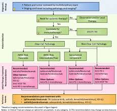 Most symptoms have to do with your kidney function and tumor growth. The Society For Immunotherapy Of Cancer Consensus Statement On Immunotherapy For The Treatment Of Advanced Renal Cell Carcinoma Rcc Journal For Immunotherapy Of Cancer Full Text