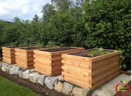 Caisse a oranger en bois chateau de versailles®. Hugelkultur En Bac Comment Entretenir Un Potager En Carre Bois Avec Quoi Entretenir Votre Bac Bois Pour Potager Potager Bois Jardin En Hauteur Carre Potager