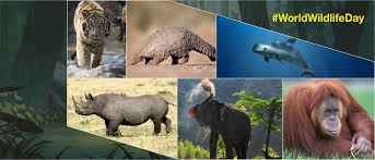 World Wildlife Day 2020 7 Animals That Are On The Verge Of Extinction
