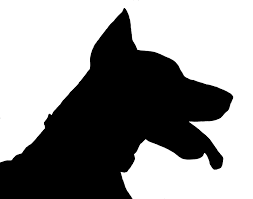 Free Image On Pixabay Dog Doberman Silhouette Black Doberman Silhouette Doberman Training