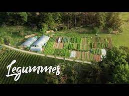 Beautiful Farm On A Steep Slope In Switzerland Legummes Youtube Beautiful Farm City Farm Farm