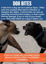 The first symptoms can appear from a few days to more than a year after the bite how long does it take for a person to die of rabies? Dalton Dog Bite Lawyers John Foy Associates