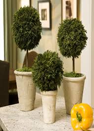 All Napa Home And Garden Boxwood Plant Plants Artificial Flowers And Plants
