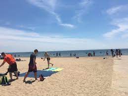 8 Of The Best Beaches Near Detroit To Visit This Summer Michigan Beaches Beach Places To Go