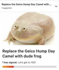 Now, almost two years later, a lot of people are sick of the ad — including the camels. New Geico Hump Day Camel Memes Happier Than Memes Geico Hump Day Memes Hump Day Camel Meme Memes