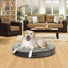 Maybe you would like to learn more about one of these? Kirkland Dog Bed Online Shopping