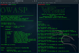Top 25 Best Kali Linux Tools Linux Hint