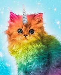 I Wish You Were Real Rainbow Kittens Unicorn Cat Rainbow Cat