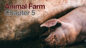 Animal Farm: Mollie Character Analysis And Quotes – Quicklits