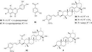 Image result for Sporobolus myrianthus