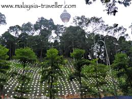 We have seen fabulous rainforest in costa the park is one of the oldest permanent forest reserves in malaysia. Kl Forest Eco Park Bukit Nanas Forest Reserve