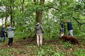 Hij stal zware wapens uit een kazerne. Ia2ofia Clt63m