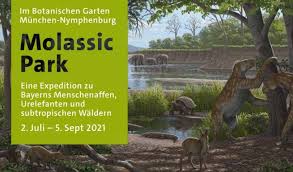 Tulpen, hyazinthen und narzissen befinden sich in voller blüte. Botanischer Garten Molassic Park Munchen Ticket Dein Ticketservice Fur Konzerte Musicals U V M