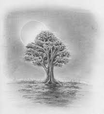 Beispiele ein bild mit dem bleistift, aus/nach dem gedächtnis, nach der natur zeichnen einen entwurf am computer zeichnen (in der art einer zeichnung auf dem bildschirm erzeugen) Laub Baum Zeichnen Lernen Zeichenkurs