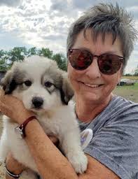 Obituary for Ann M. Koopman