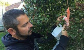 What's Te Papa's Natural History team