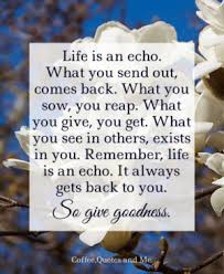 Dec 2, 2016·2 min read. Life Is An Echo What You Send Out Comes Back What Vou Sow You Reap What You Give You Get What You See In Others Exists In You Remember Life Is An