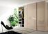 Lacquer Finish Lacquered Glass Wardrobe