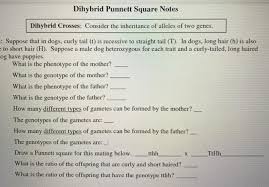 Show the punnett square and the rations produced. Solved Dihybrid Punnett Square Notes Dihybrid Crosses Co Chegg Com